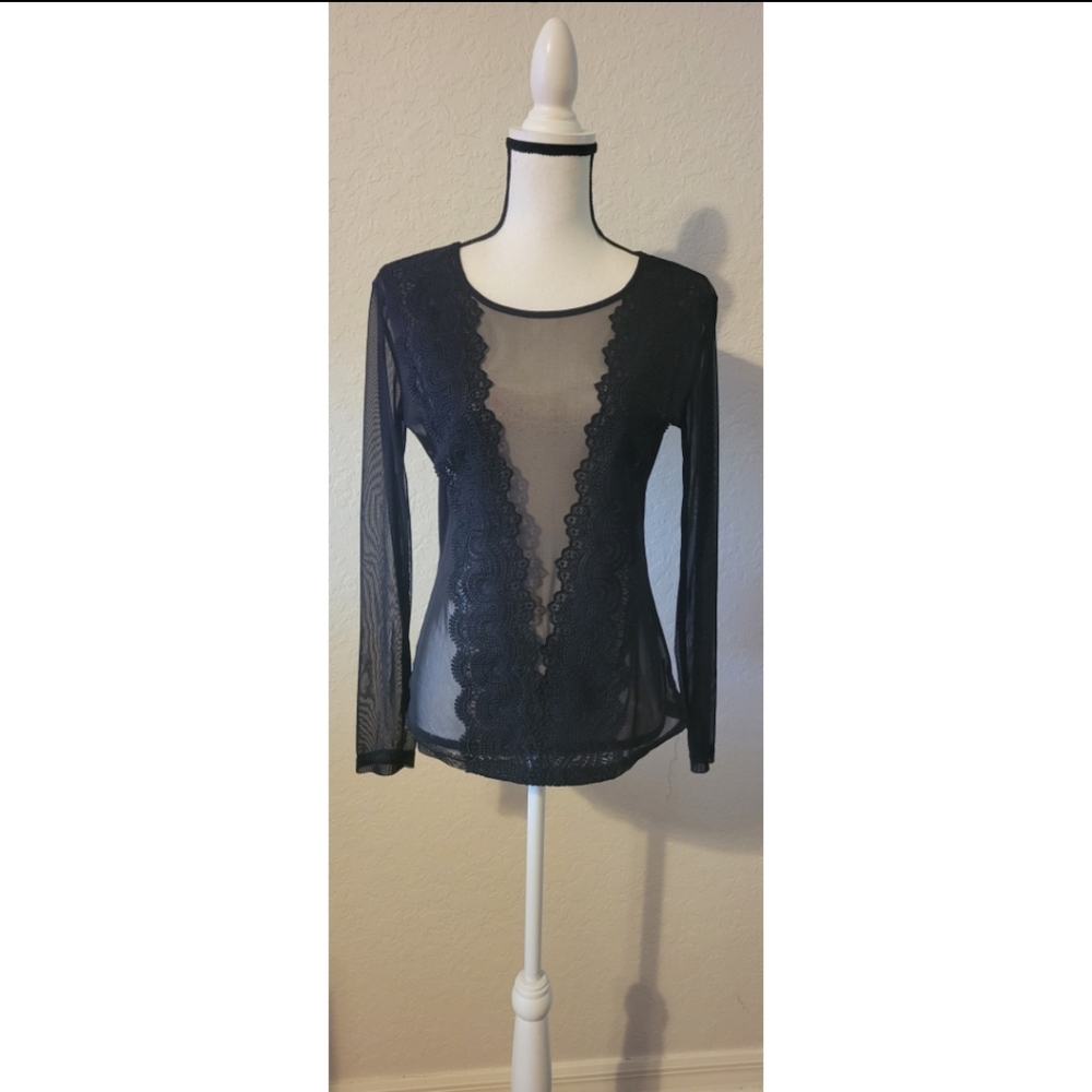 SHEIN Black Sheer Lace Plunge Long Sleeve Top
